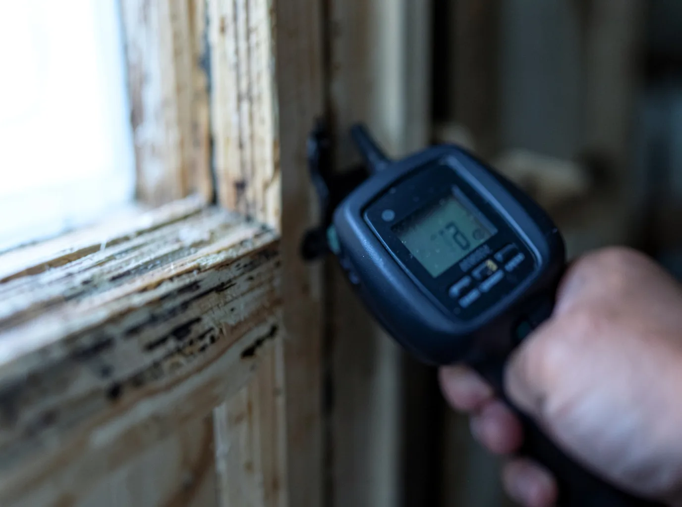 Commercial Water Damage Restoration in Wilderville, OR